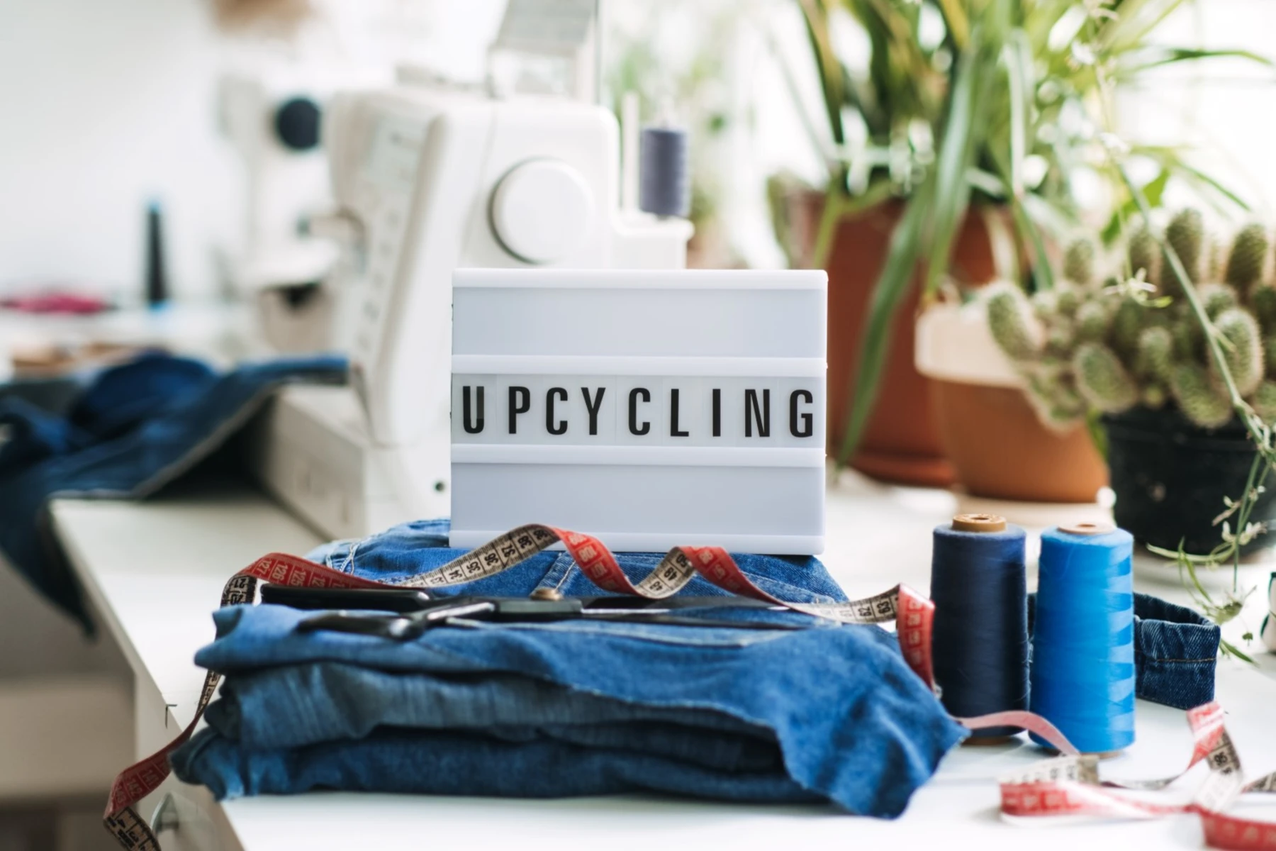 Catégorie UpCycling